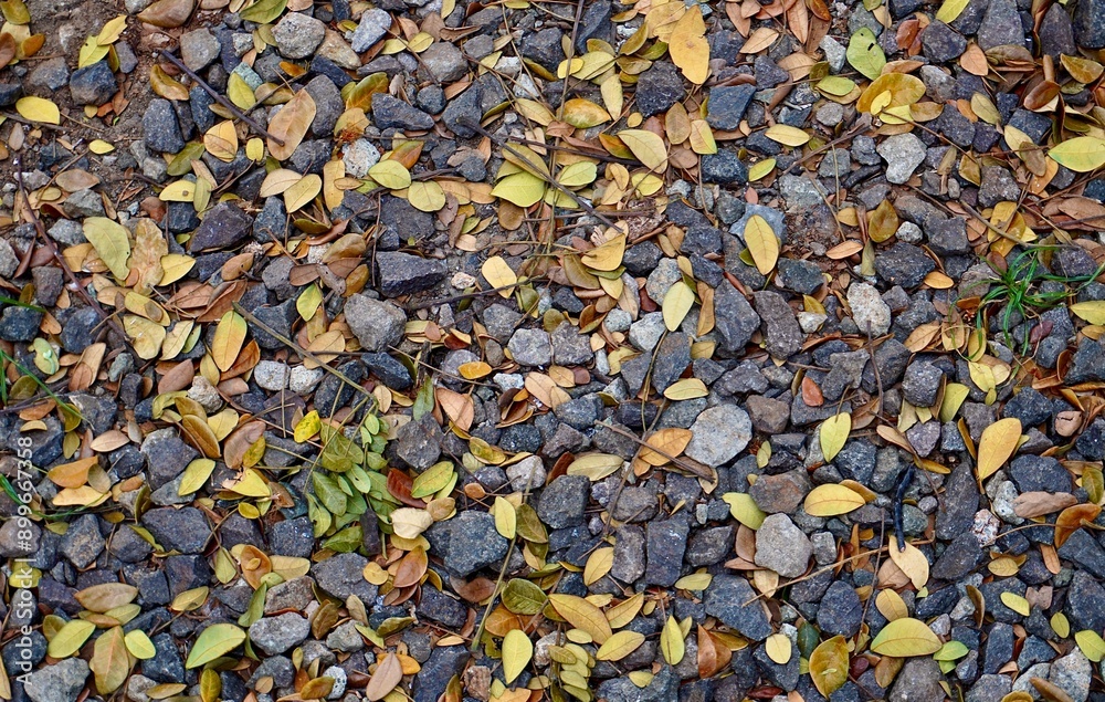 Dark grey colored rock stones pebbles with fallen small dry yellow, brown, and green tree leaves isolated on horizontal park ground flooring background. Dark grey colored rock stones pebbles with fallen small dry yellow, brown, and green tree leaves isolated on horizontal park ground flooring background.