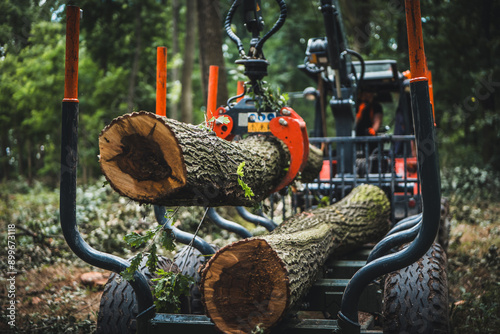 Fotografie Forwarder tractor for wood transport