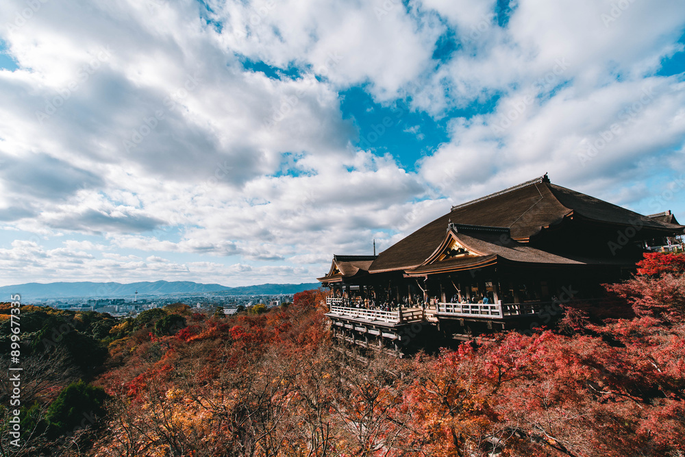 Naklejka premium 紅葉の清水寺
