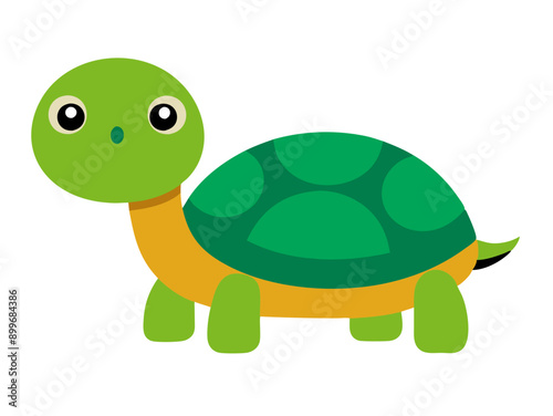turtle cartoon Vector