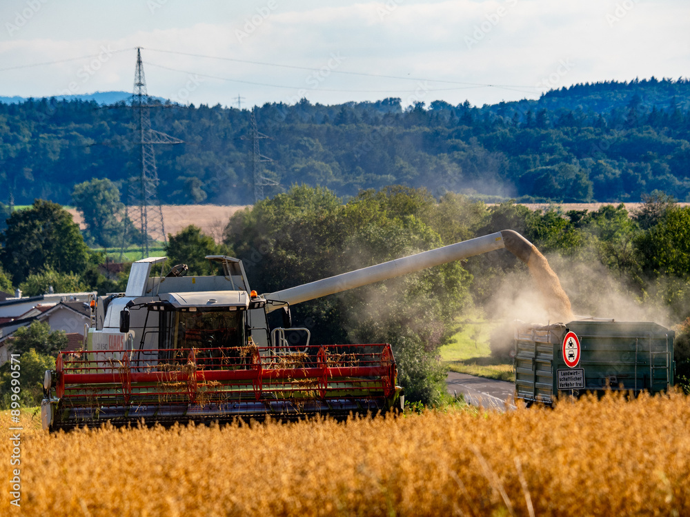 Fototapeta premium Mähdrescher bei der Arbeit auf einem Feld