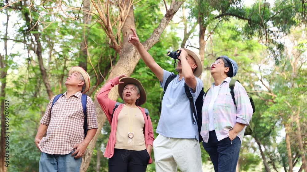 Group senior tourists, men and women retired age joined together hiking group study the ecological nature and the environment and wildlife. They were amazed at the lush nature of the trees.
Group senior tourists, men and women retired age joined together hiking group study the ecological nature and the environment and wildlife. They were amazed at the lush nature of the trees.
