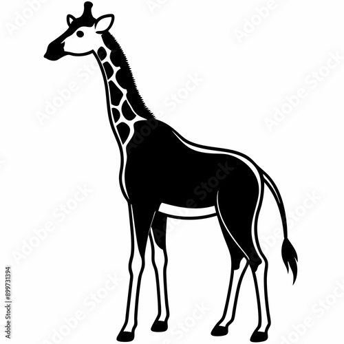 Giraffe head  Silhouette Vector Illustration  © Tumpa