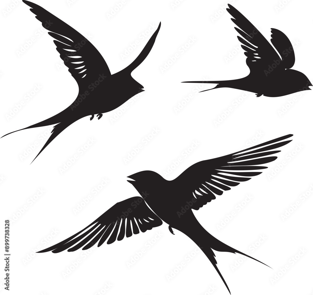 Obraz premium Swallow birds flying black silhouette vector