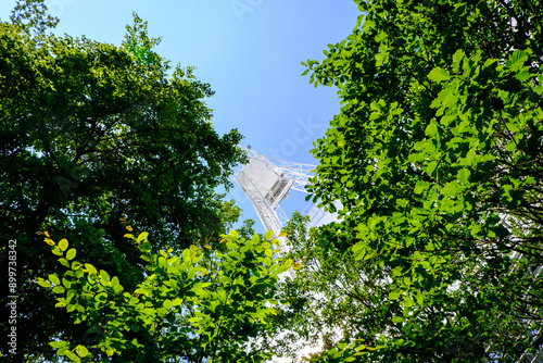 Big Radio Dish in the Trees