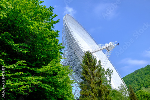 Radio Telescope in the Woods