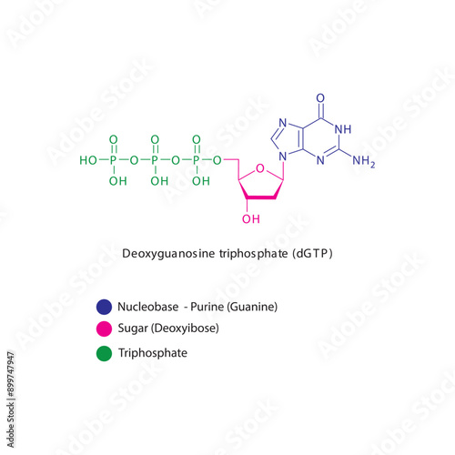 Deoxyguanosine triphosphate (dGTP) skeletal structure schematic illustration, Nucleoside molecule.