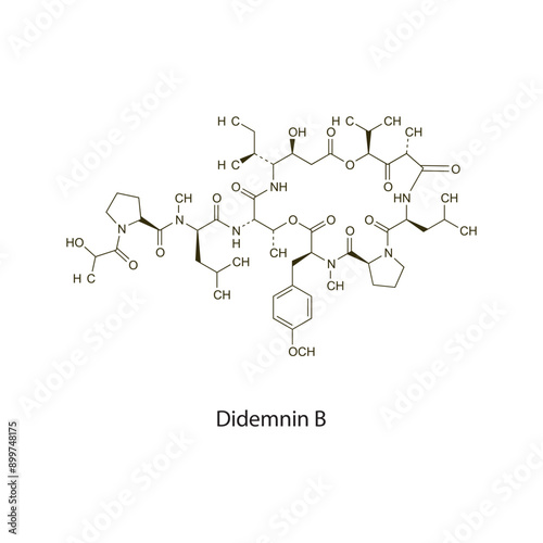 Didemnin B flat skeletal molecular structure Antineoplastic drug used in cancer treatment. Vector illustration scientific diagram.