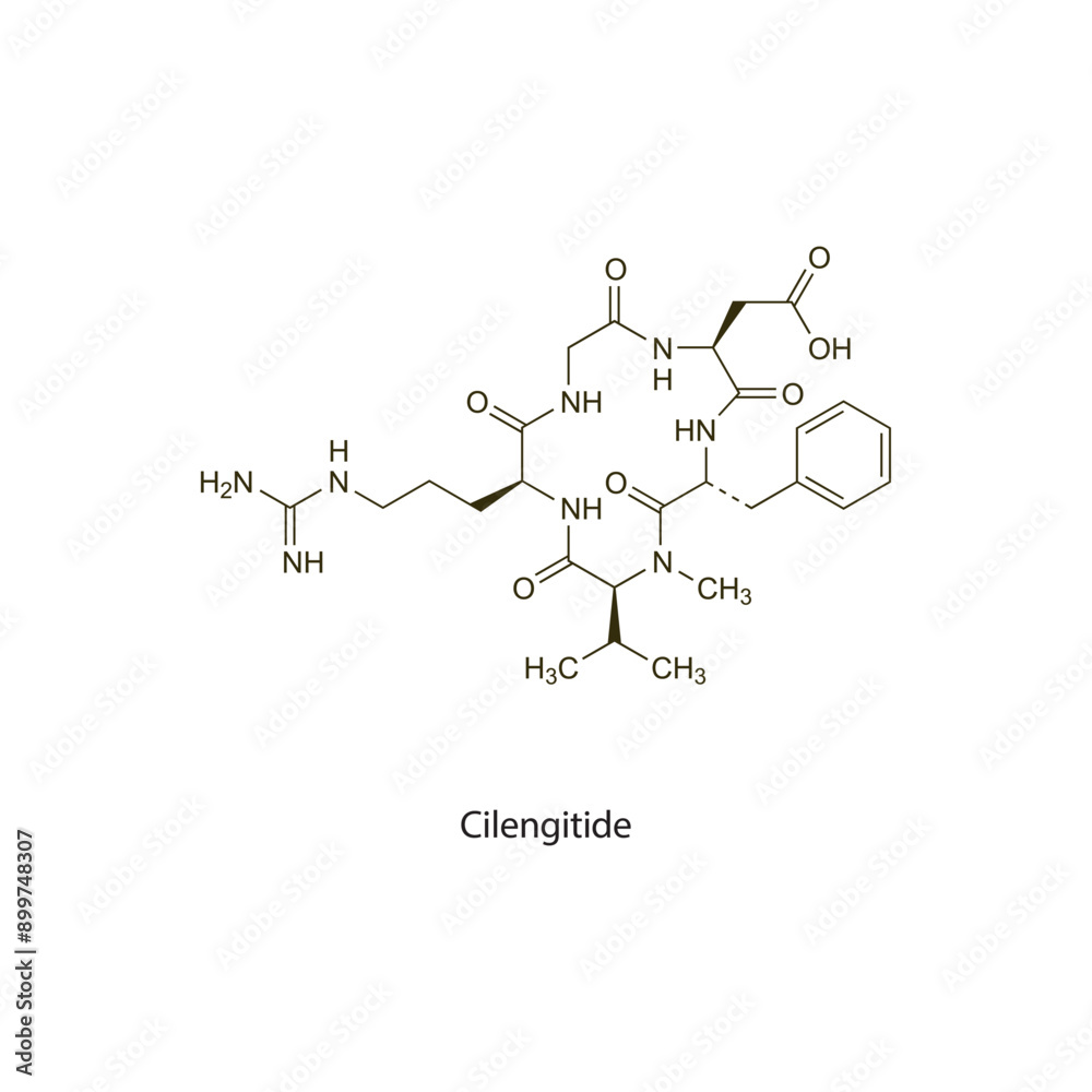 Cilengitide flat skeletal molecular structure Antineoplastic drug used in cancer treatment. Vector illustration scientific diagram. Cilengitide flat skeletal molecular structure Antineoplastic drug used in cancer treatment. Vector illustration scientific diagram.