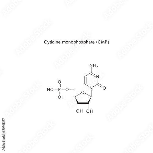 Cytidine monophosphate (CMP) skeletal structure schematic illustration, Nucleotide molecule. photo