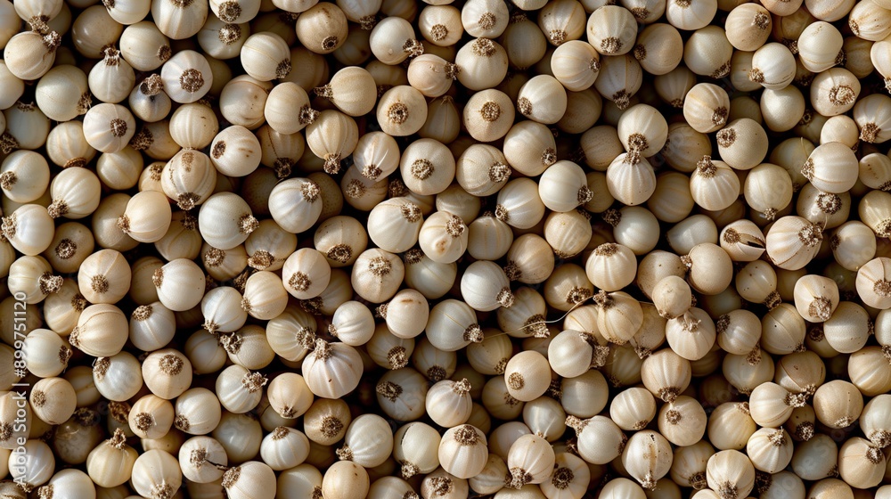 Macro close-up of raw natural smooth sorghum grains, sorghum grain texture surface for wallpaper banner background with copyspace Macro close-up of raw natural smooth sorghum grains, sorghum grain texture surface for wallpaper banner background with copyspace