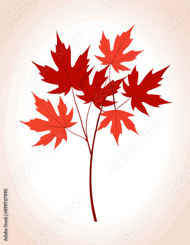 Red Maple Leaves