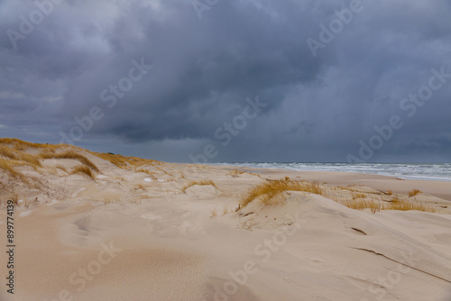 Beautiful dunesscenery of the Slowinski National Park by the Baltic Sea, Leba. Poland photo