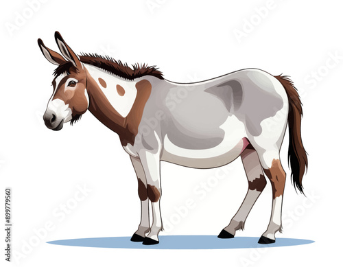 Donkey with brown and white spots standing on a white background