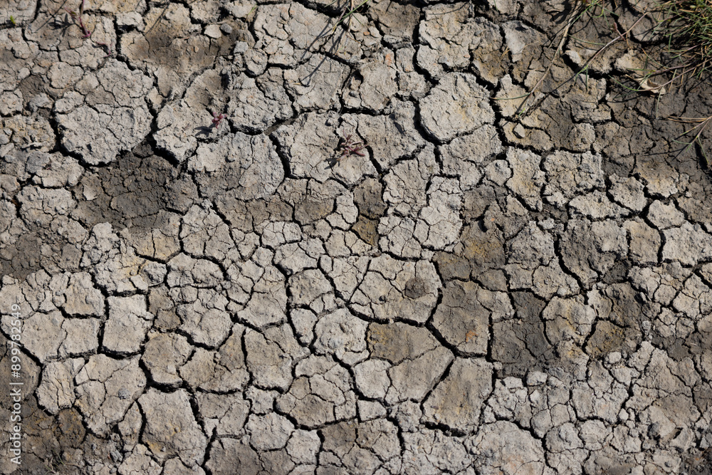 Texture background with dried out brown mud Texture background with dried out brown mud