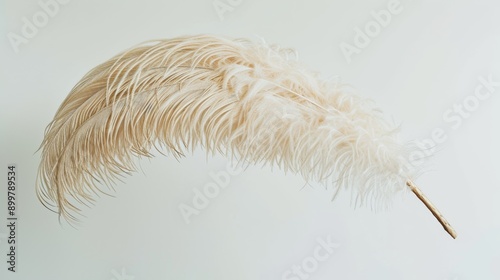 A classic ostrich feather duster, displayed against a clean background photo