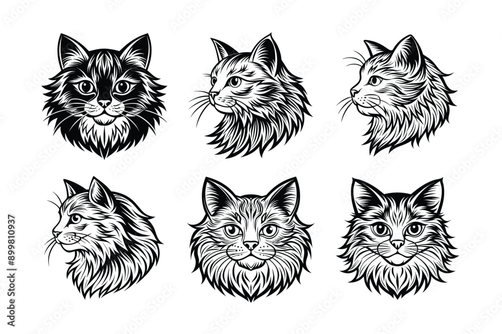 Logo sets of Persian cats, labeled linocut vector illustration. Logo sets of Persian cats, labeled linocut vector illustration.