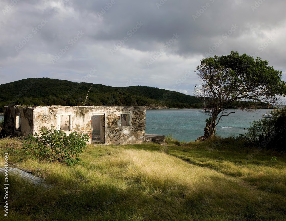 The ruins at Little Lameshur Bay, St. John USVI over looking the ocean with wind swept tree The ruins at Little Lameshur Bay, St. John USVI over looking the ocean with wind swept tree