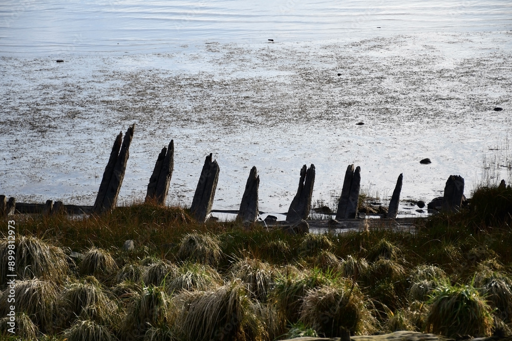 Eerie Remains of an Old Shipwreck on Astoria's Shore Eerie Remains of an Old Shipwreck on Astoria's Shore