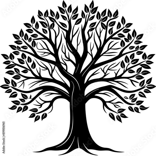 Tree Vector