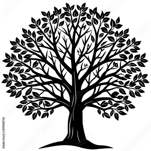 Tree Vector Art