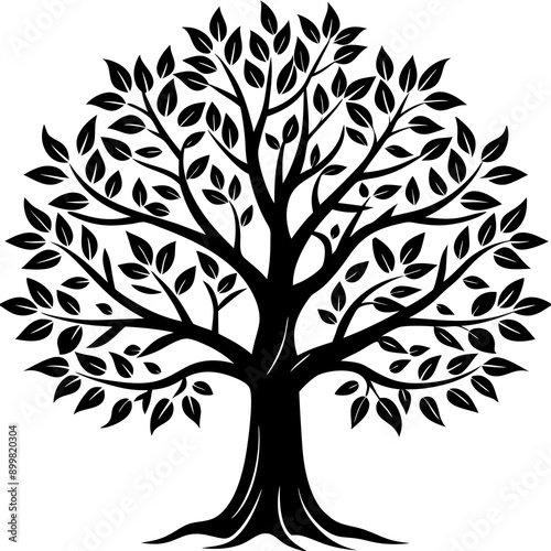 silhouette of trees
