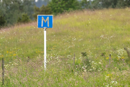 Blue and white traffic meeting sign appearin to stand in a field of flowers photo