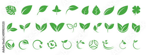 Leaf icons set ecology nature element, green leafs, environment and nature eco sign. Eco, bio, natural, vegan, herbal icon. Flat vector illustrations, isolated on white, transparent background. photo