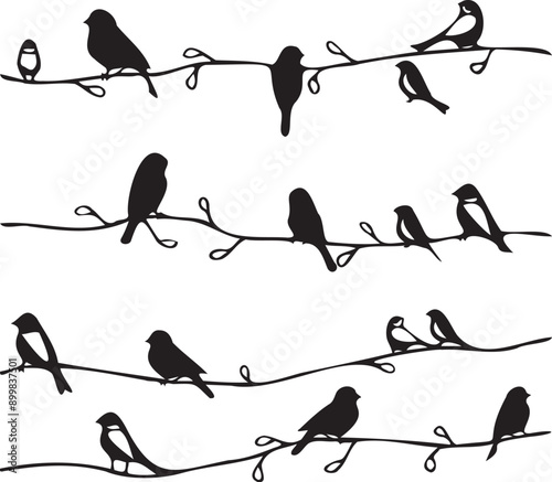 Black Bird line silhouette 