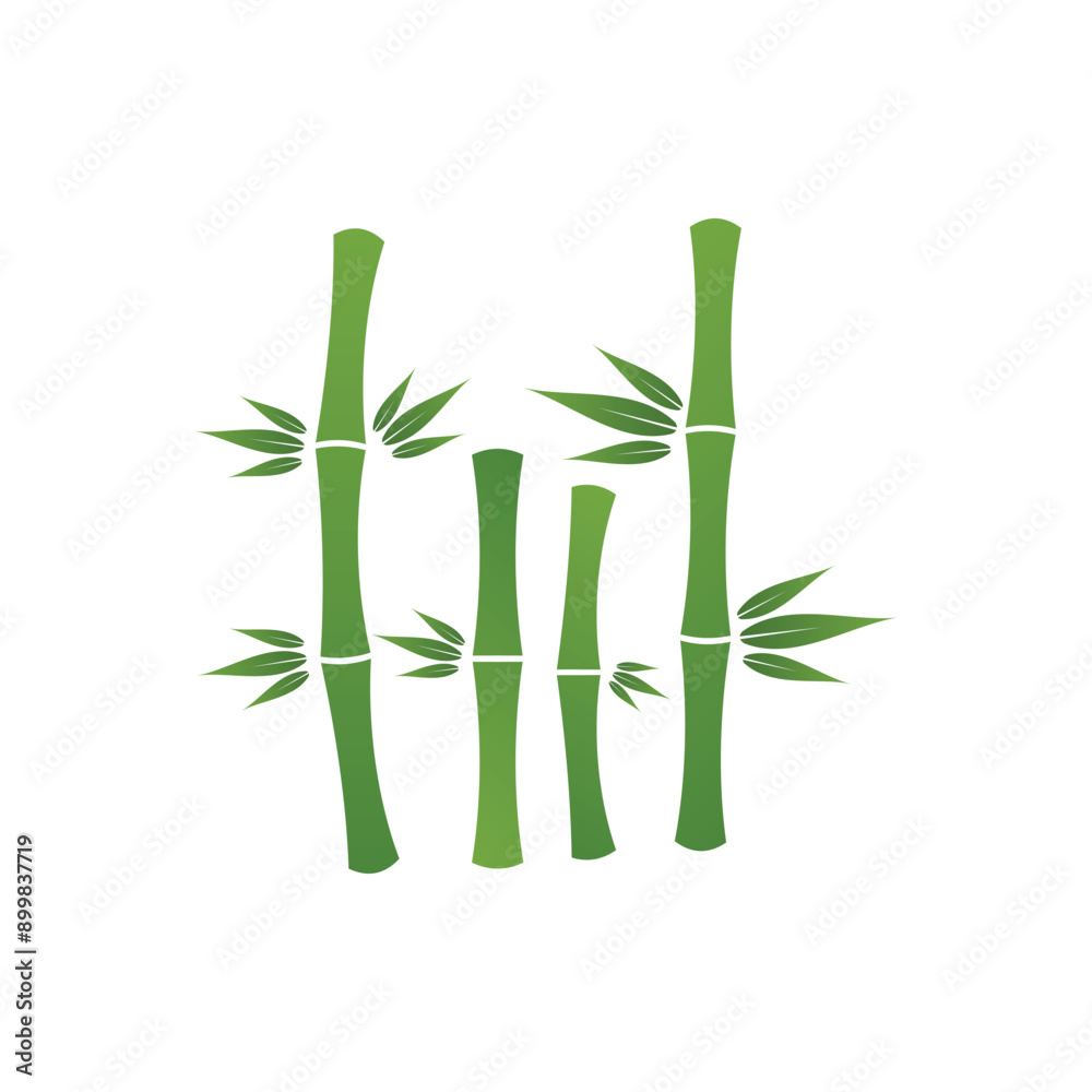 Obraz premium Bamboo stalks with green leaves vector icon