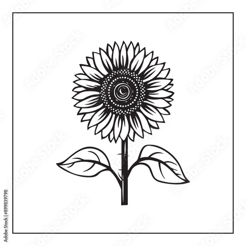 Hand drawn sunflower design on a white background