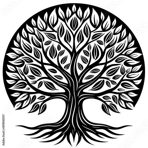 Tree Designs
