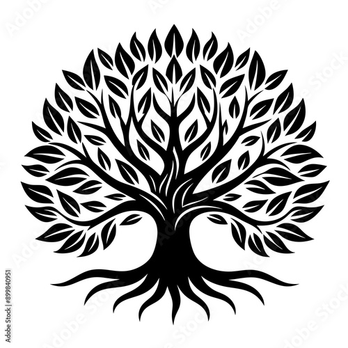 Tree Designs

