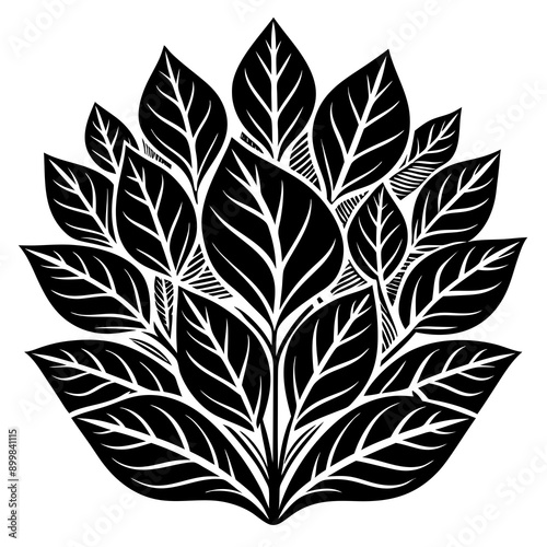 Tree Designs
