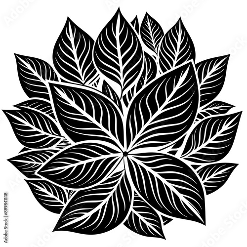 Tree Designs
