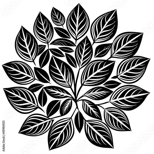 Tree Designs

