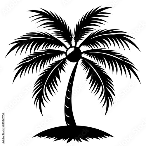 black and white tree
