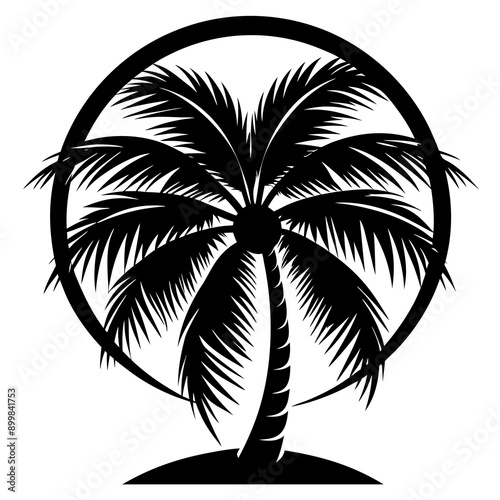 silhouette of palm tree