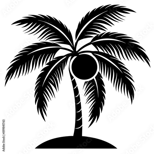 black and white tree
