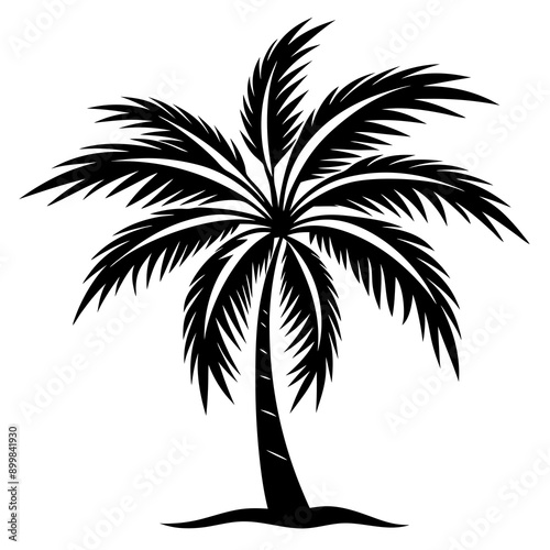 silhouette of palm trees