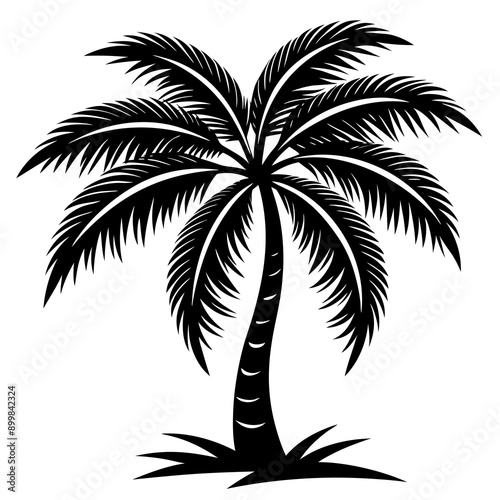 silhouette of palm trees