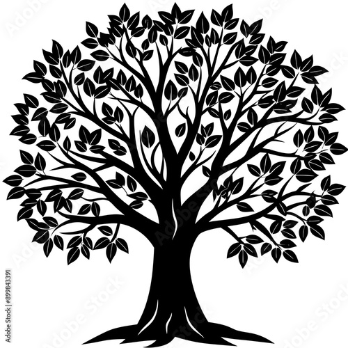 silhouette of trees
