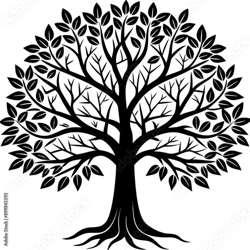 silhouette of trees
