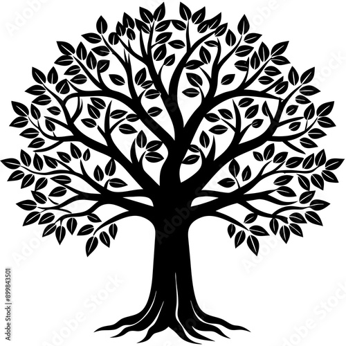 silhouette of trees
