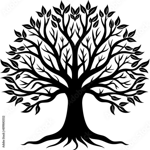 silhouette of trees
