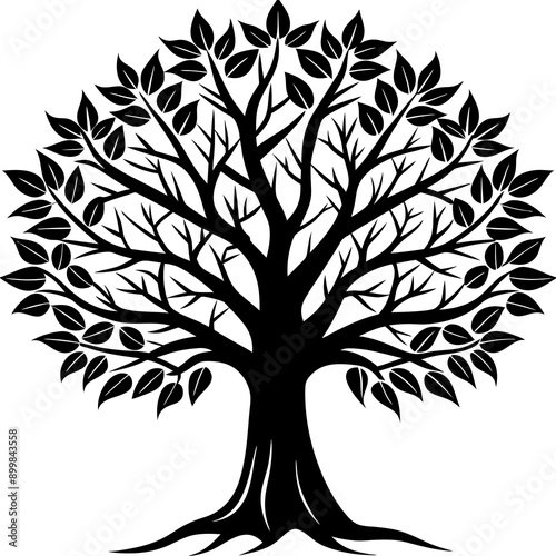 silhouette of trees
