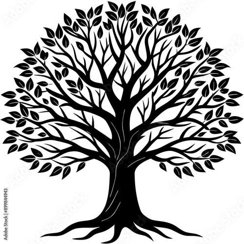 Tree Vector
