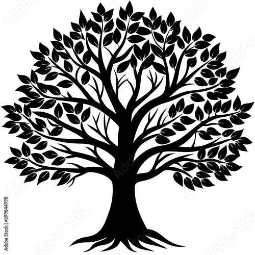 Tree Vector
