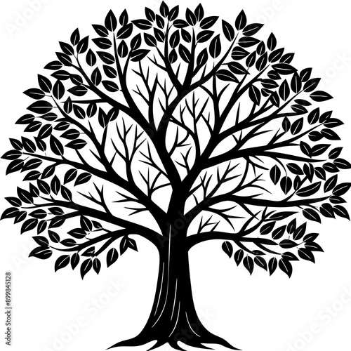 Tree Vector
