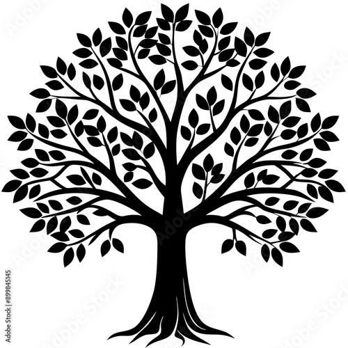 Tree Vector
